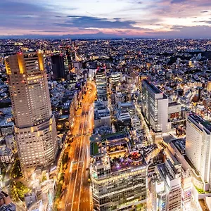5* Отель Cerulean Tower Tokyu Hotel, A Pan Pacific Partner