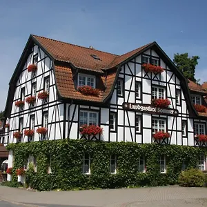 Sommer Gasthof Lautertal (Bavaria)